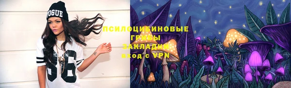 Альфа ПВП Беломорск