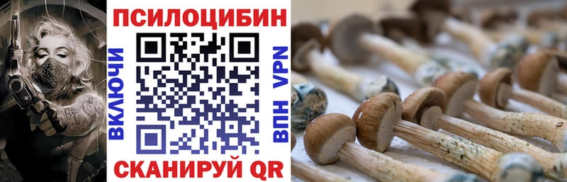 сайты даркнета состав Городовиковск Псилоцибиновые грибы Psilocybe kraken как войти